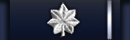 Lieutenant Colonel